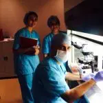 sperm-çip