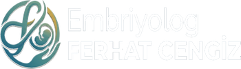 Embriyolog Ferhat Cengiz
